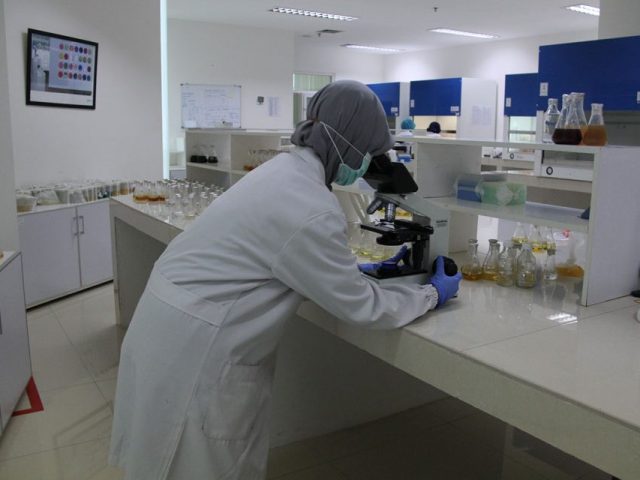 Meksiko mengangkat data penggerebekan laboratorium obat